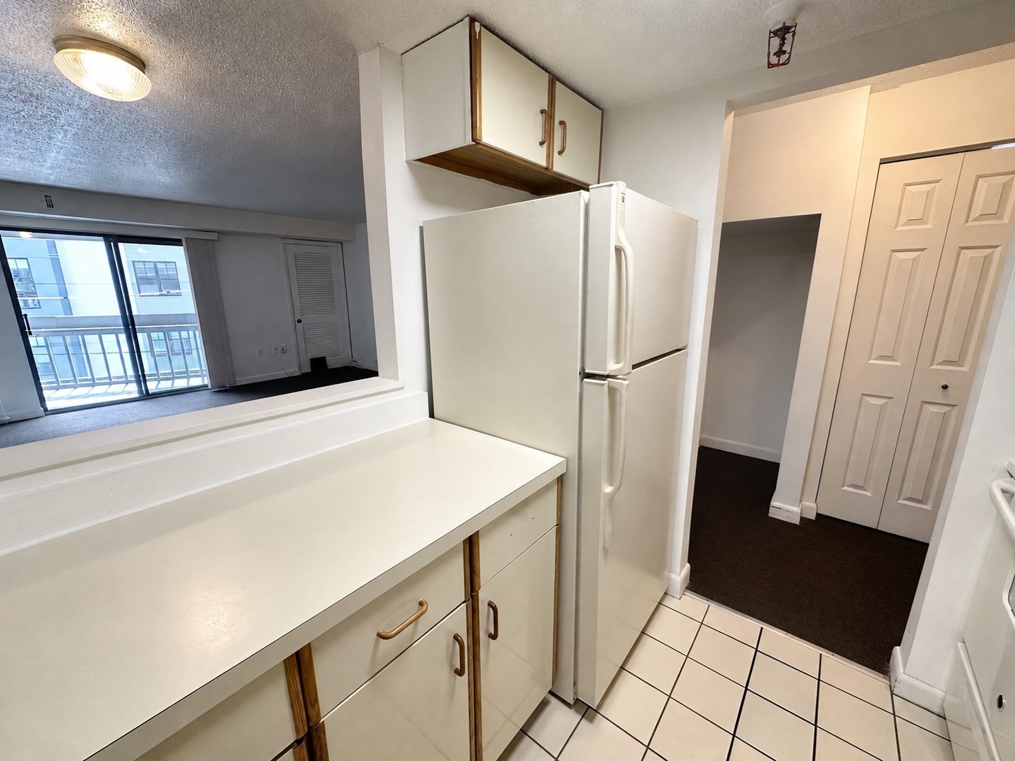 72 Euston Road # 302 Property Photo 3