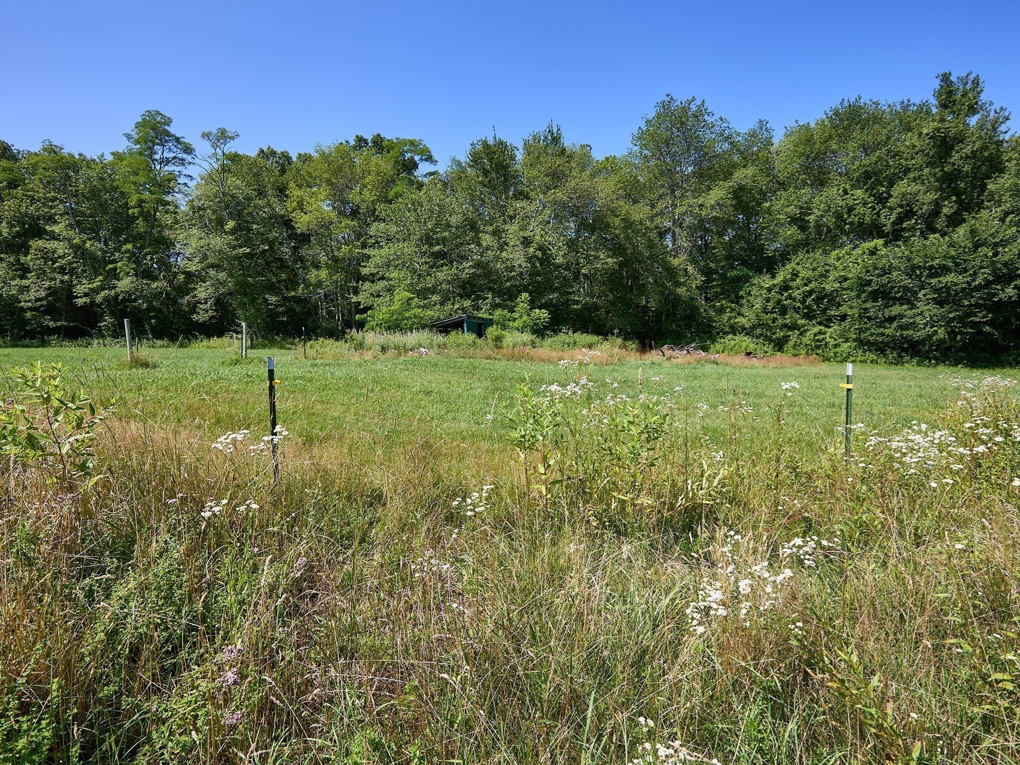 554 Sharps Lot Road Property Photo 34