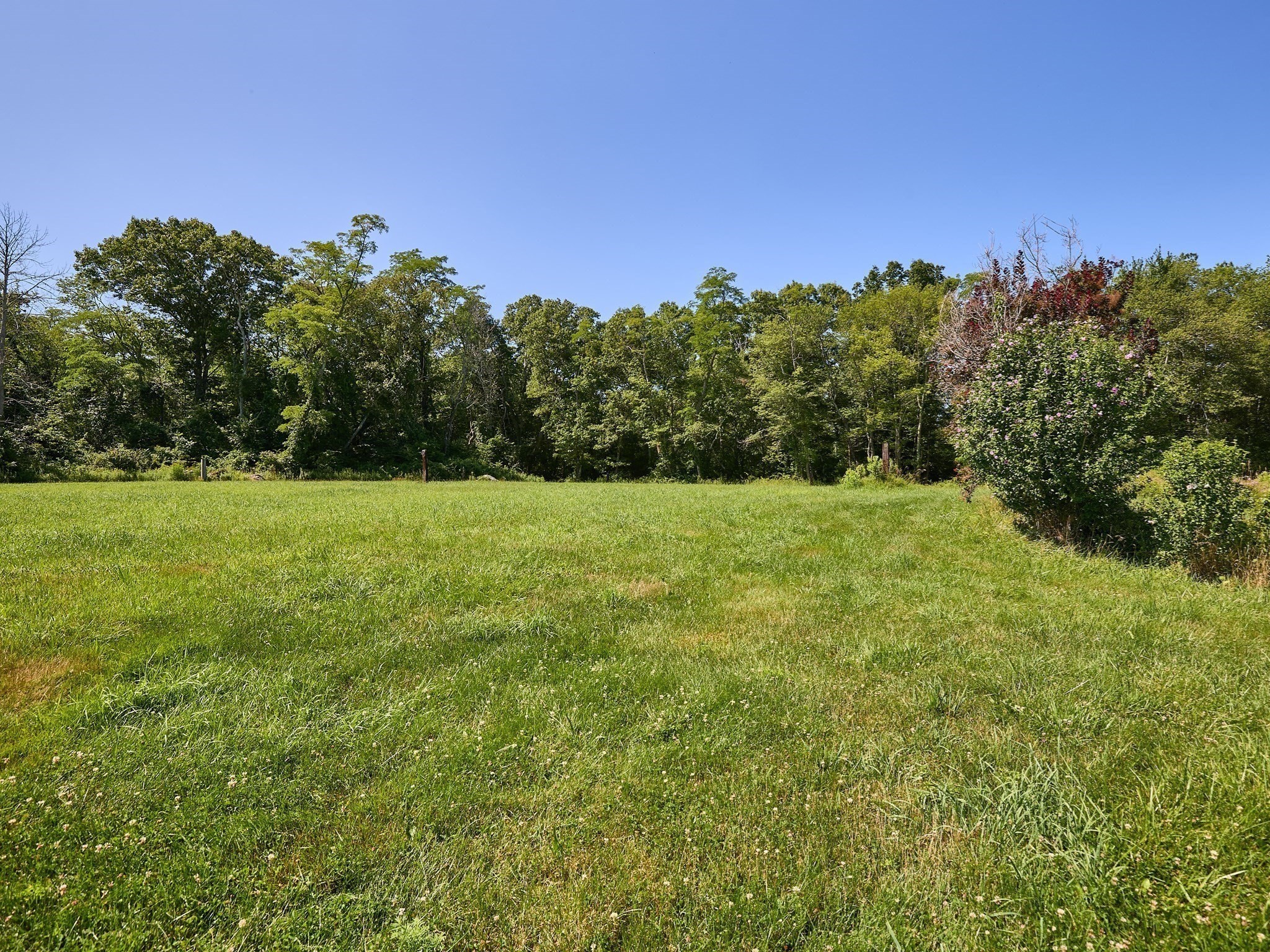 554 Sharps Lot Road Property Photo 35