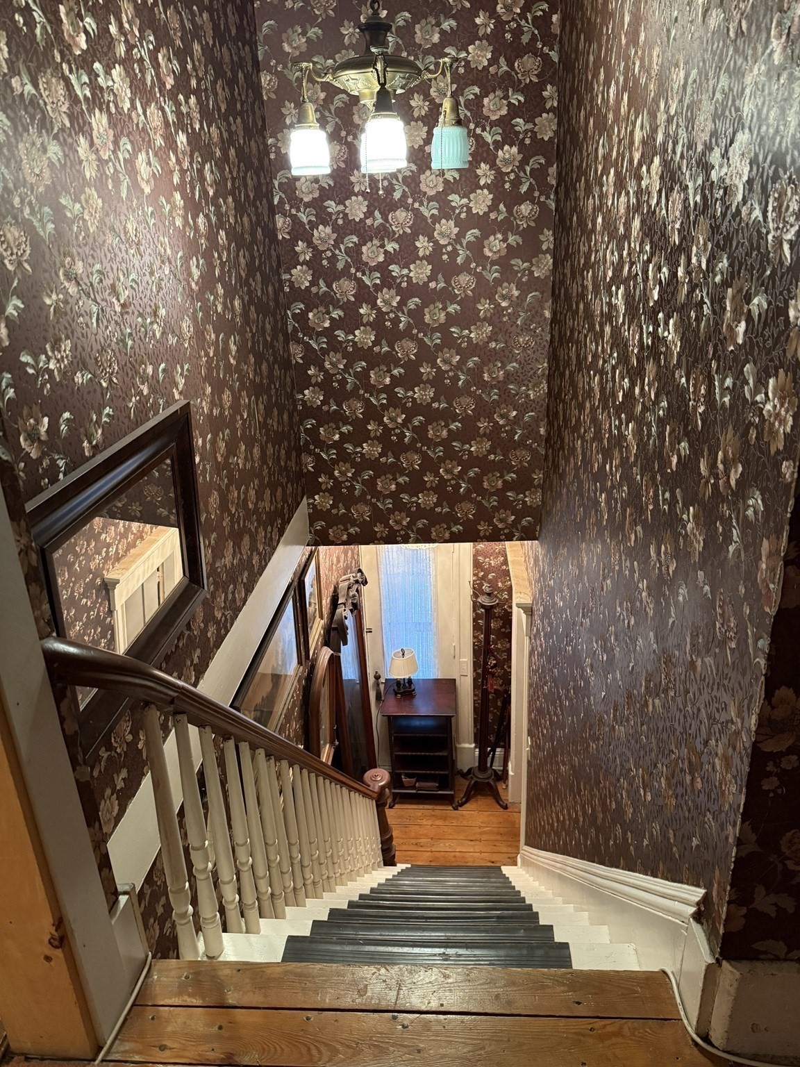 8 Hawes St Property Photo 9