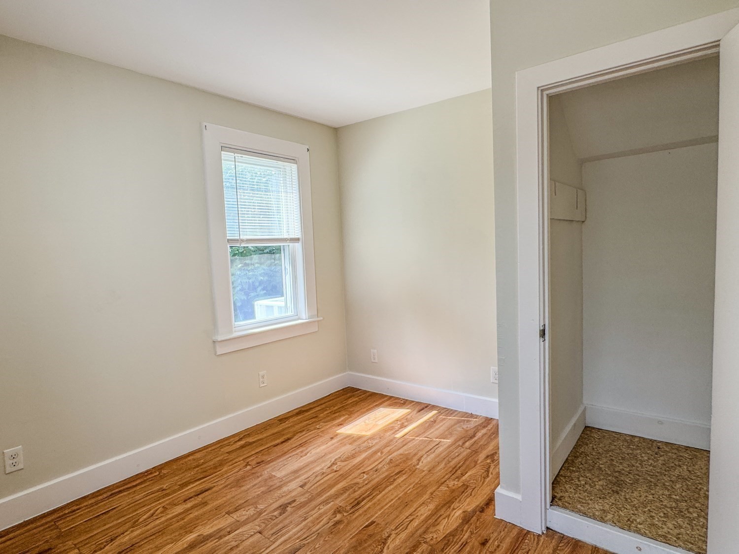 344 Conway Street Property Photo 10
