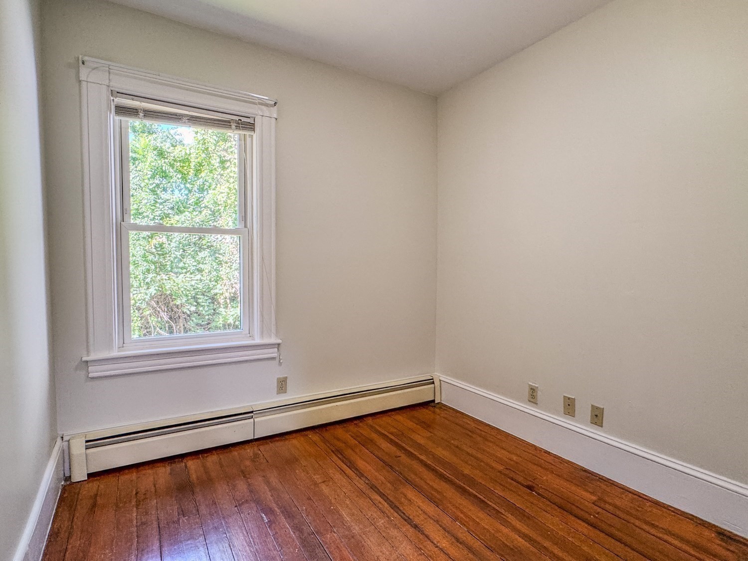 344 Conway Street Property Photo 24