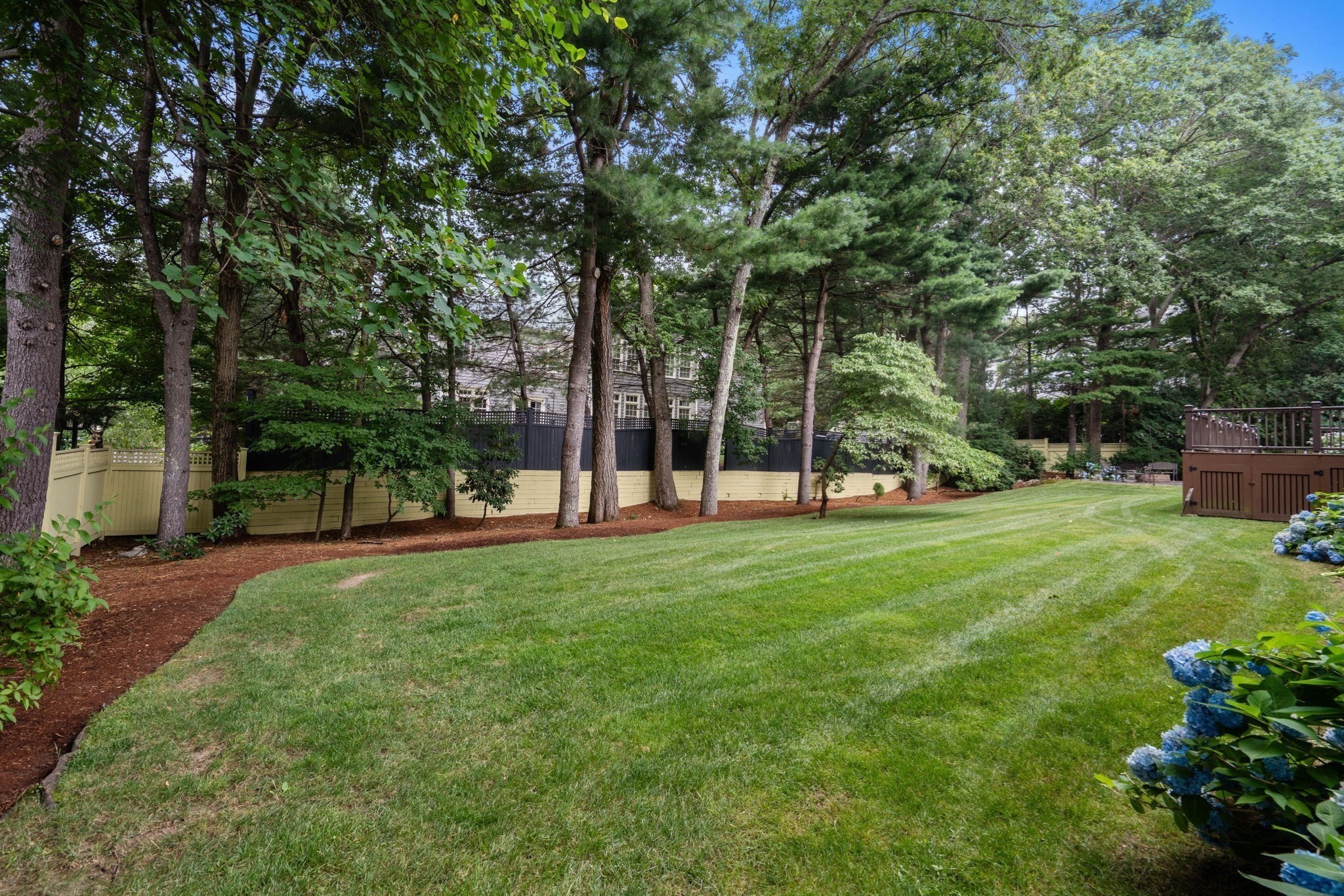 23 Bellevue Property Photo 12