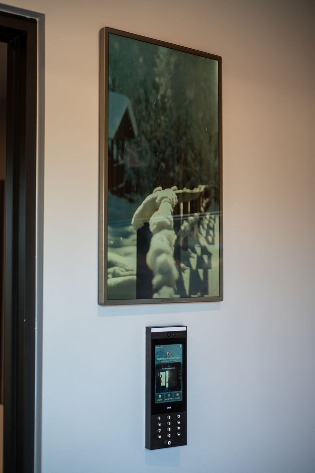 11 Boynton St. # 203 Property Photo 12