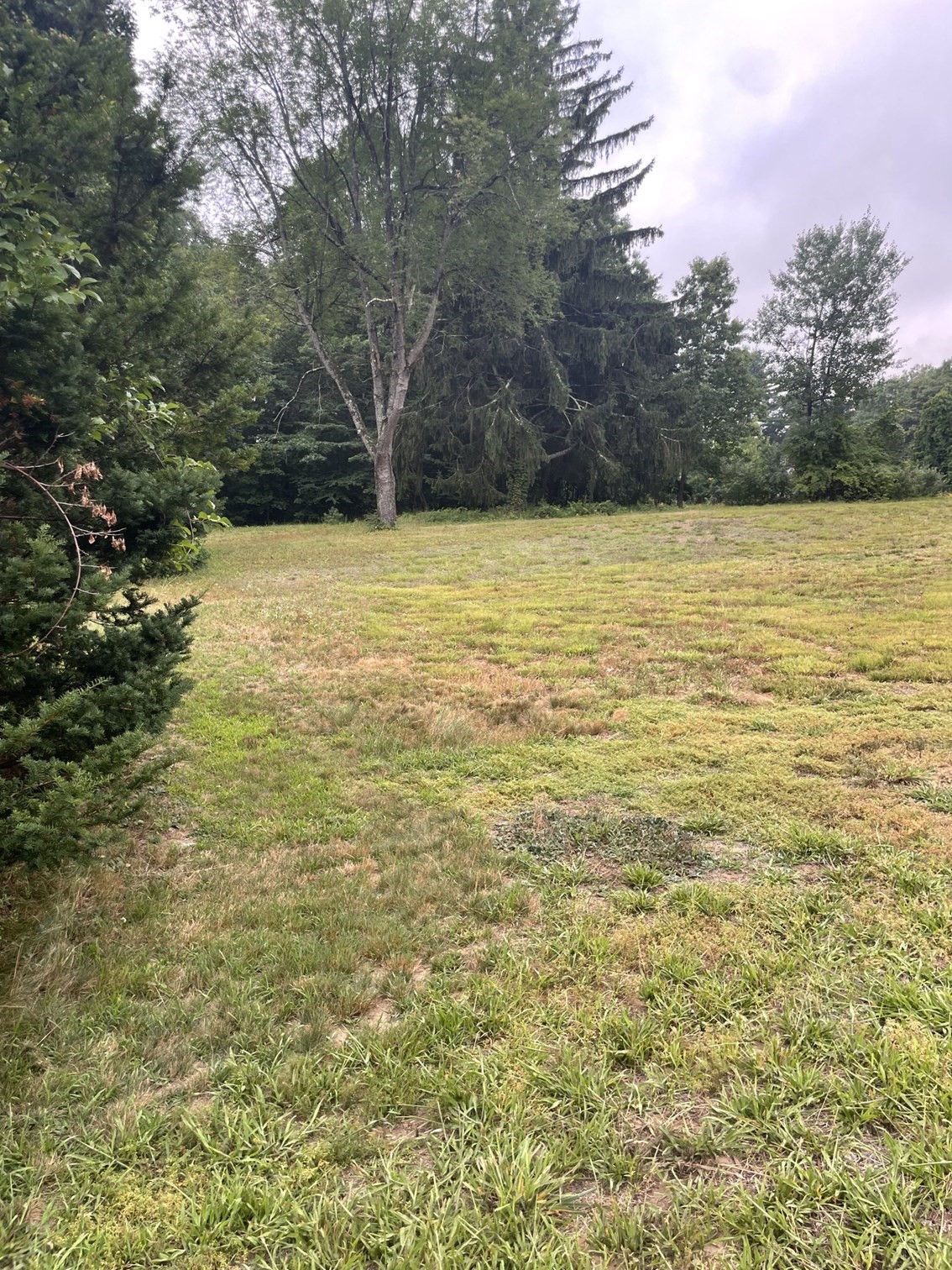 55 & 56 Wequamps Drive Property Photo 10