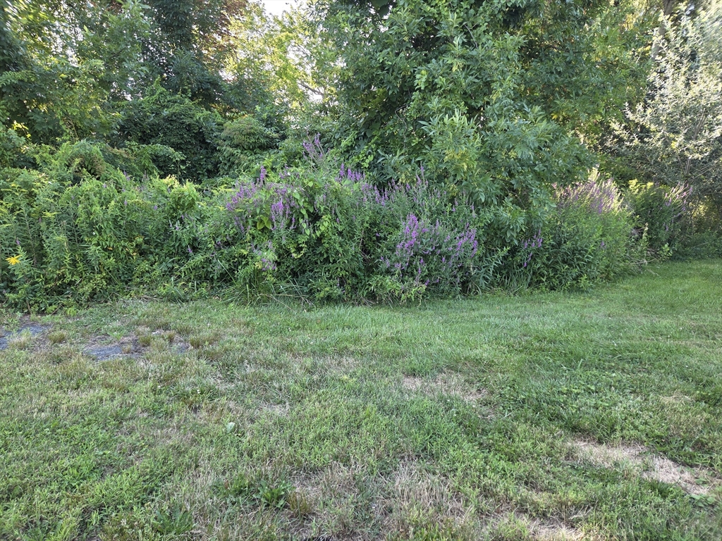 0 River Rd E Property Photo 1