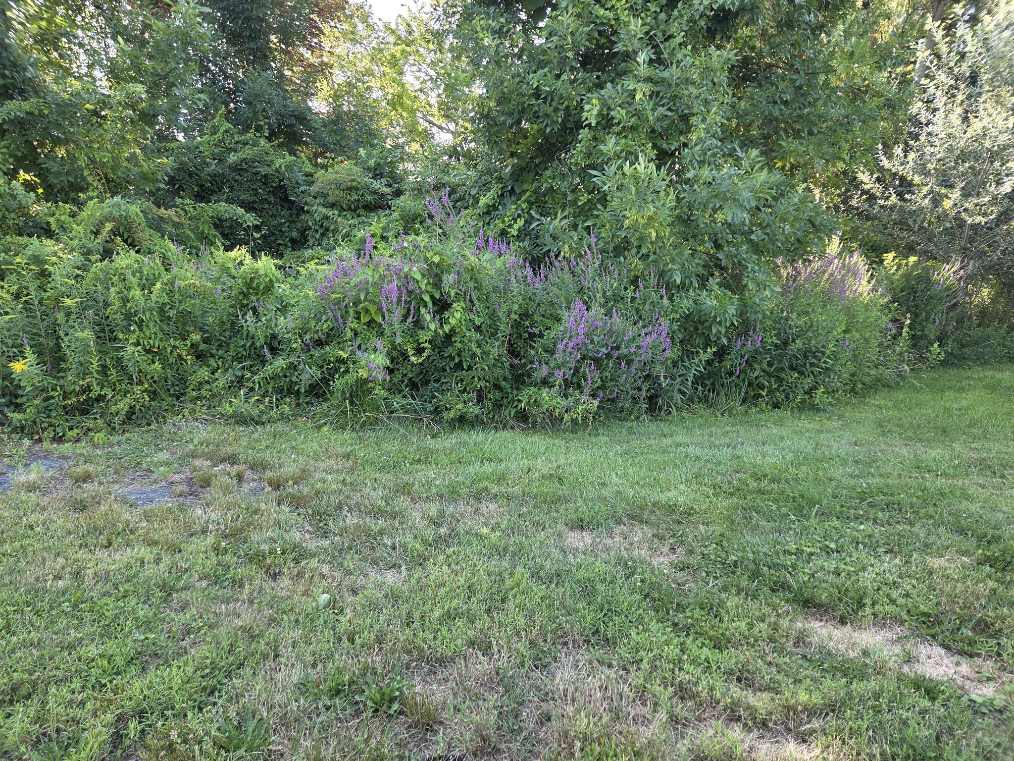 0 River Rd E Property Photo 1