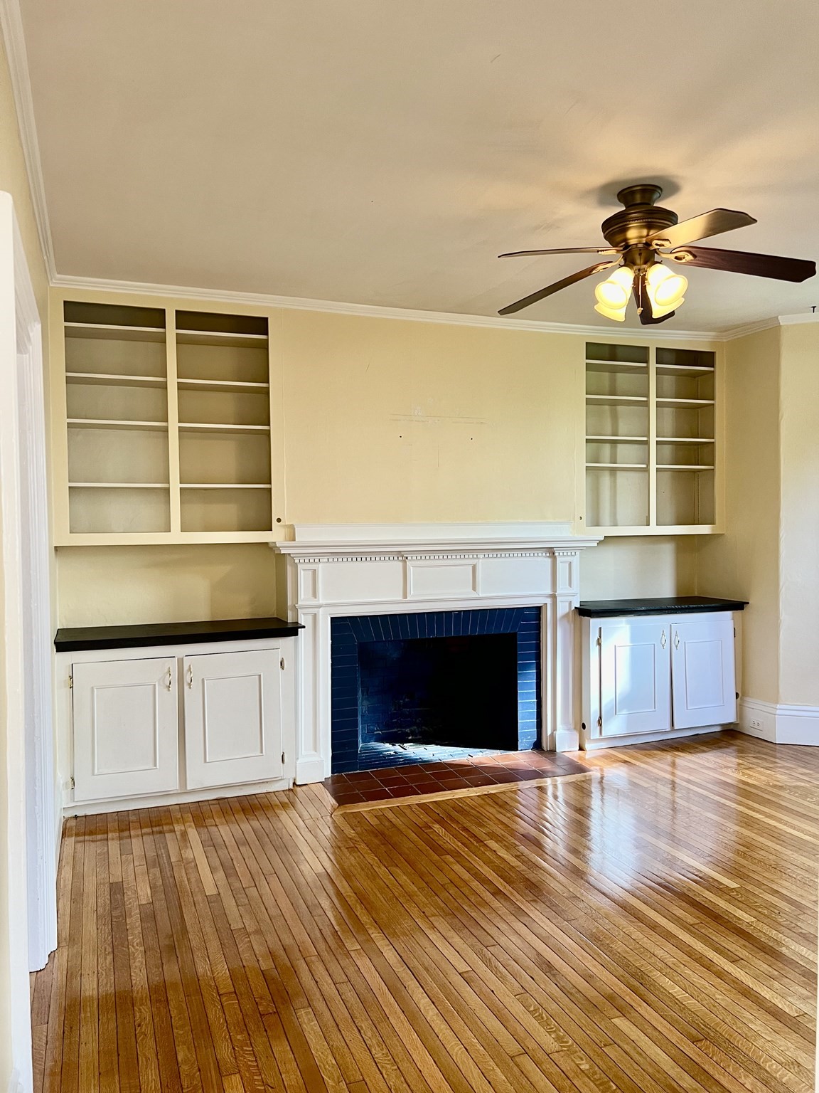 26 Abbott Street Property Photo 6