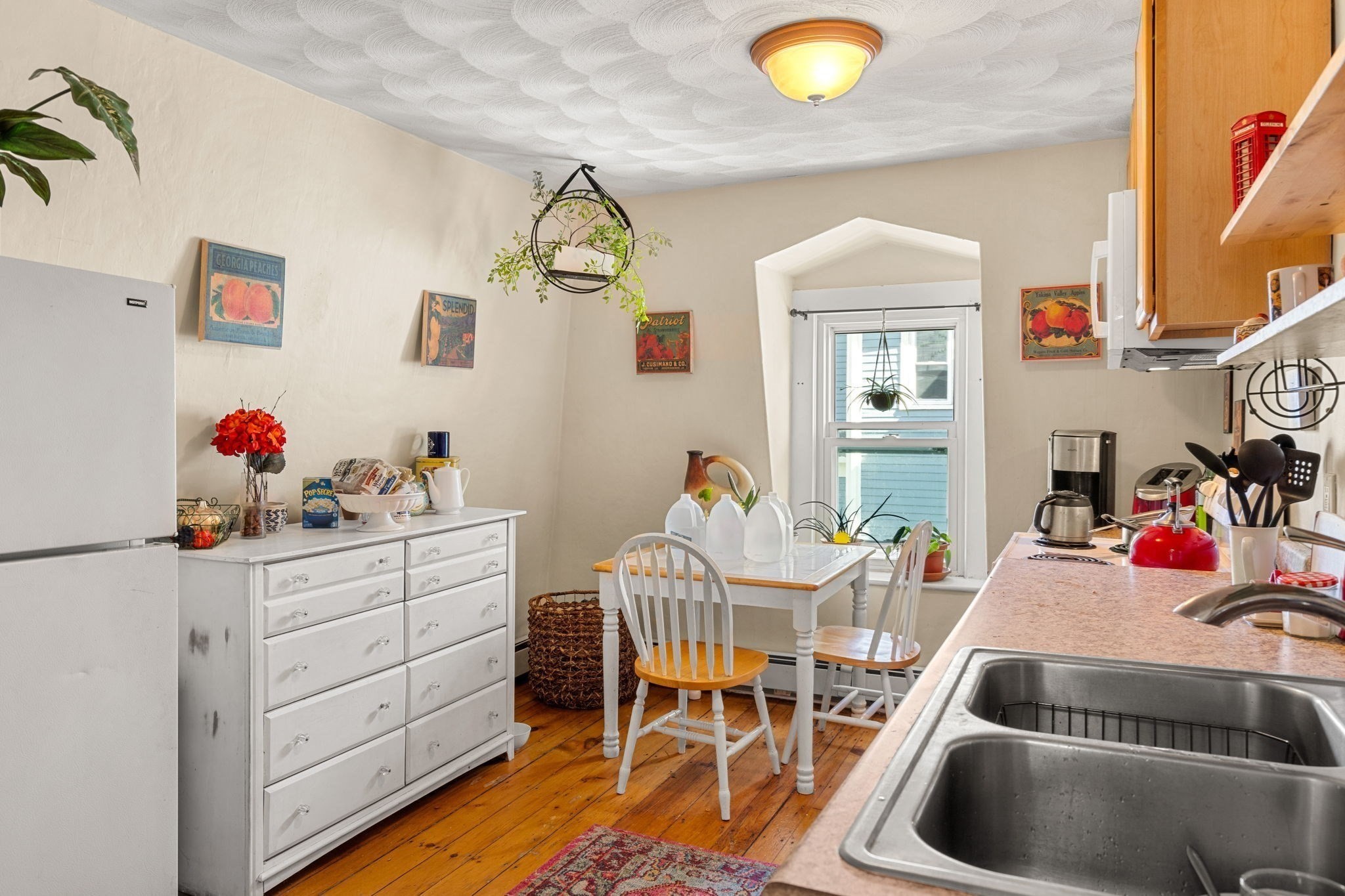 26 Abbott Street Property Photo 19