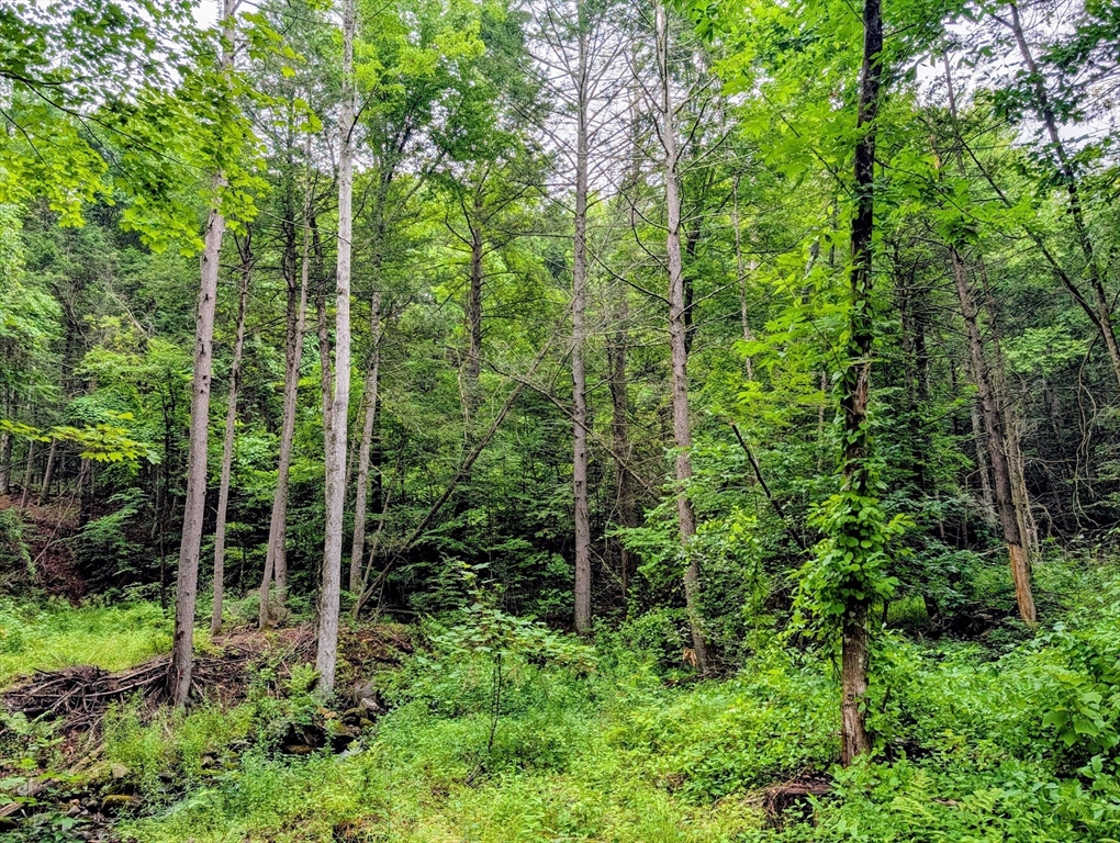 18 Pond Brook Road Property Photo 2