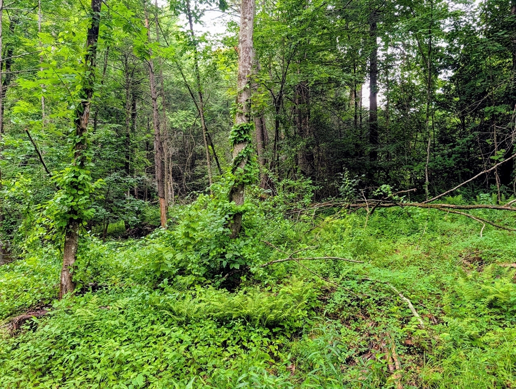 18 Pond Brook Road Property Photo 3