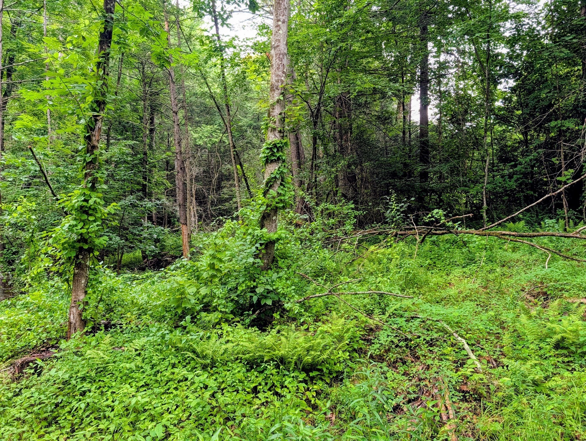 18 Pond Brook Road Property Photo 3