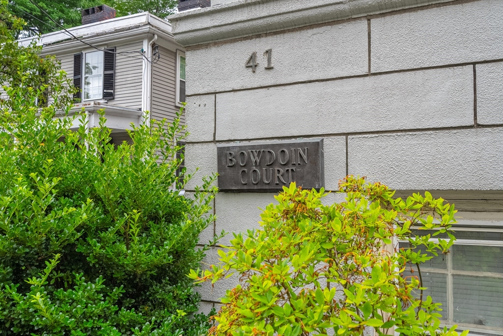 41 Bowdoin Street # 25 Property Photo 3