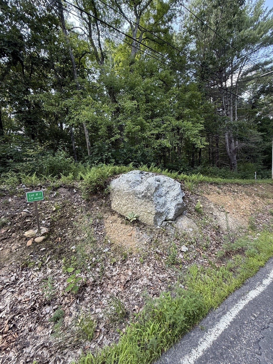 291 Warren Rd