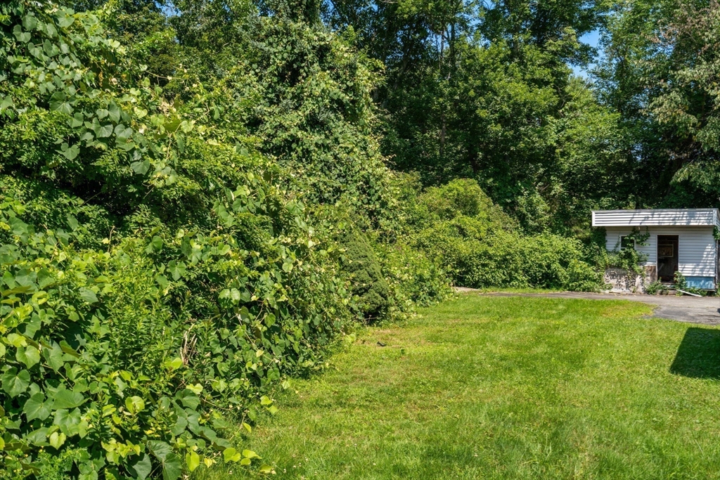 55 Chestnut St Property Photo 6