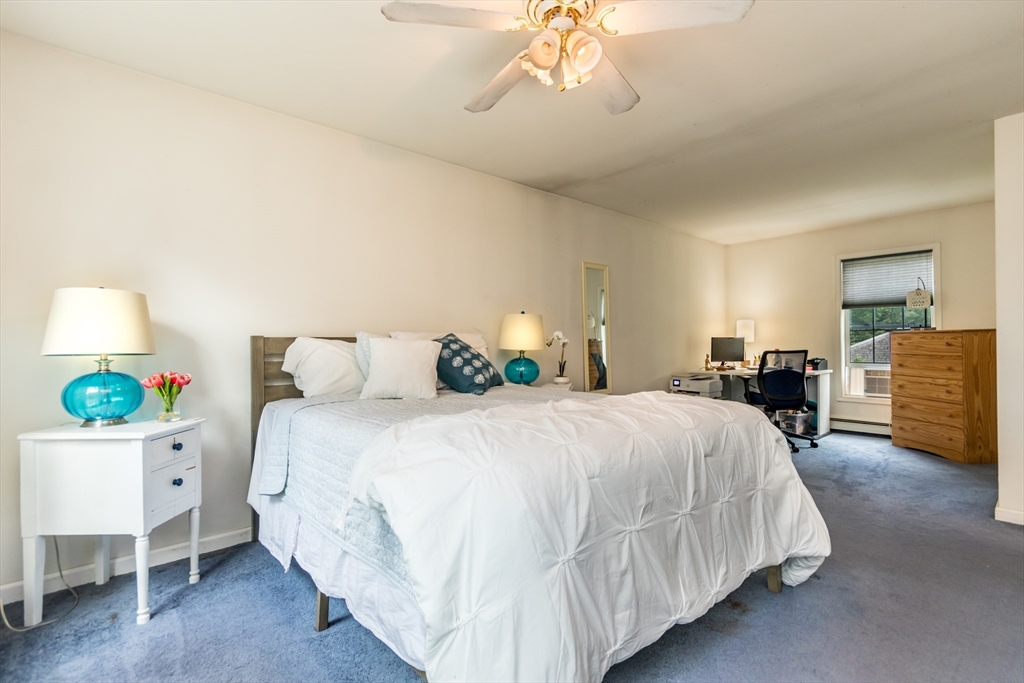 8 Hampden Rd Property Photo 18