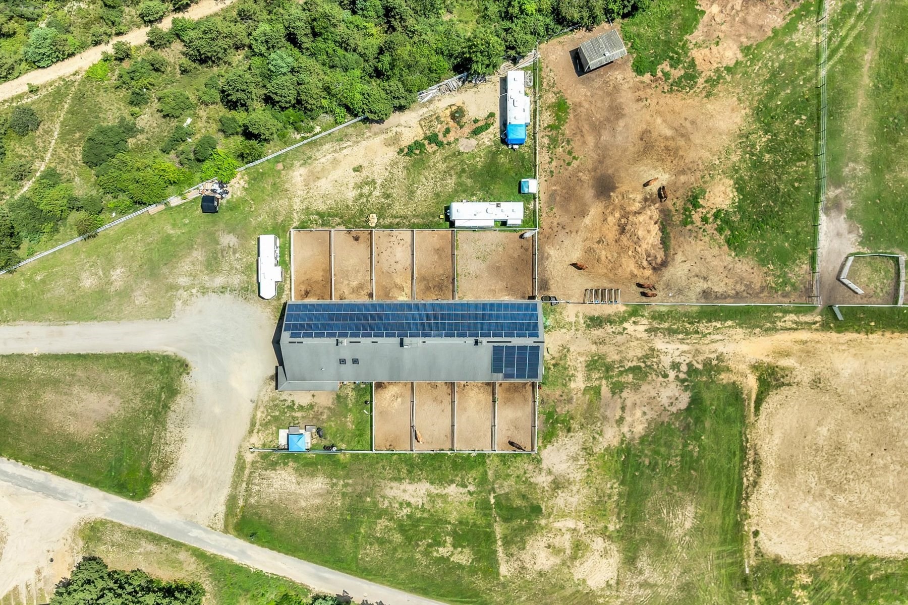 9 Riesling Property Photo 13