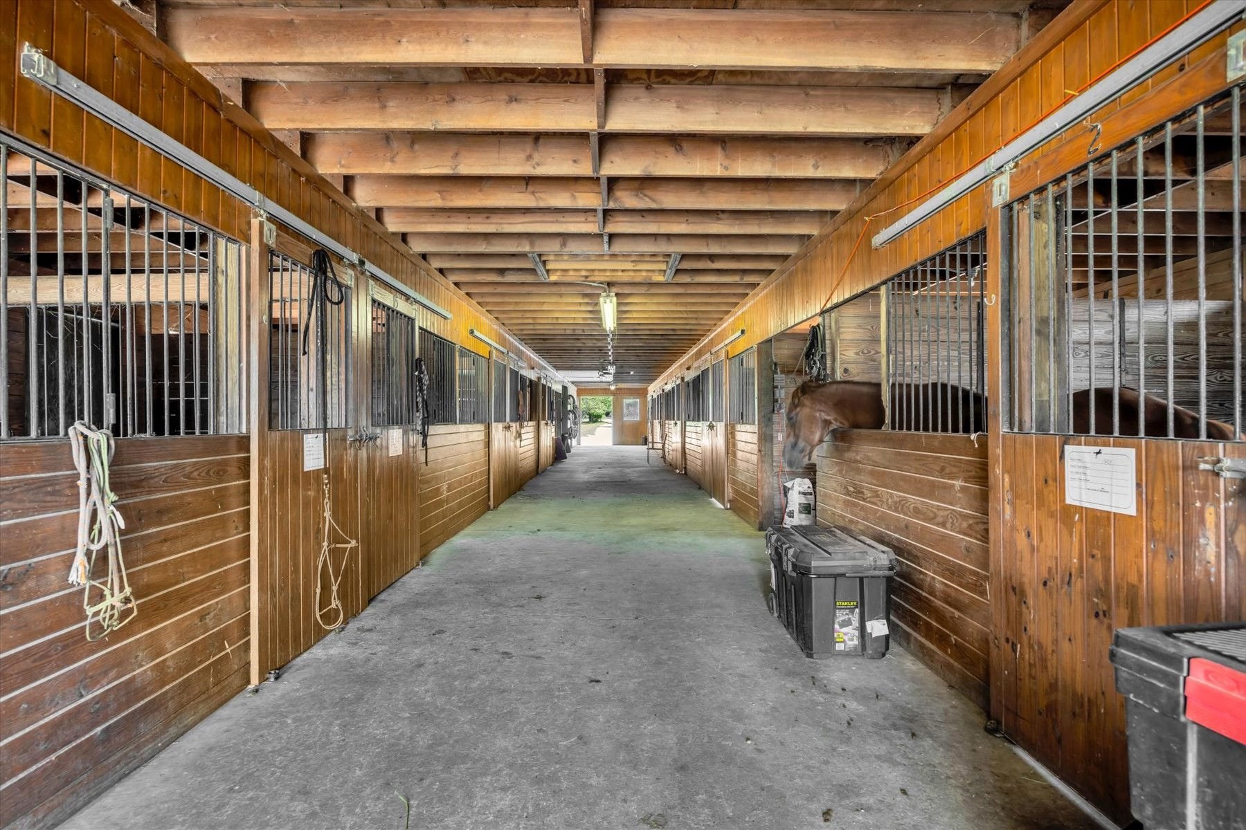 9 Riesling Property Photo 39