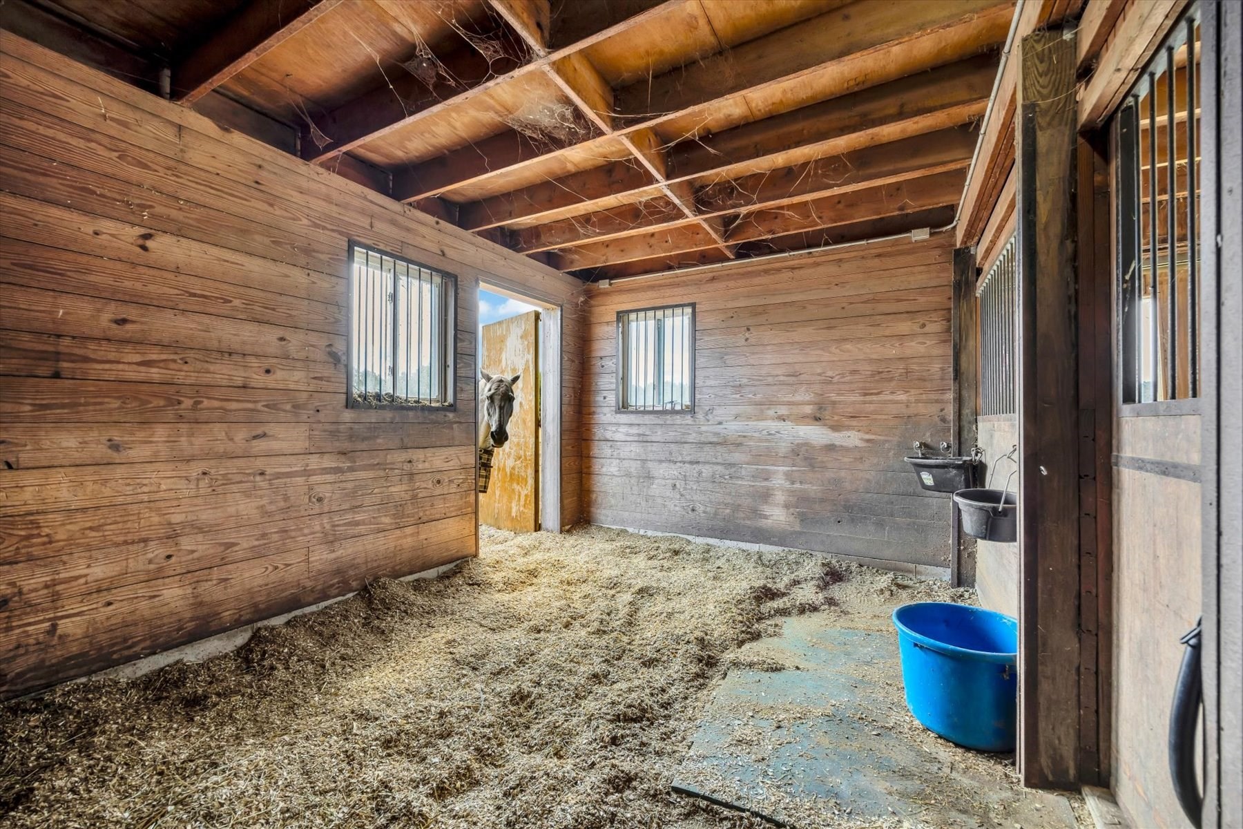 9 Riesling Property Photo 40