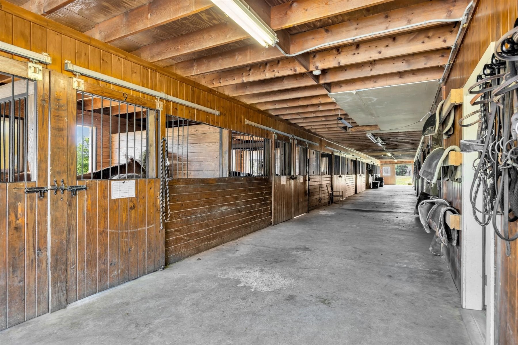 9 Riesling Property Photo 41