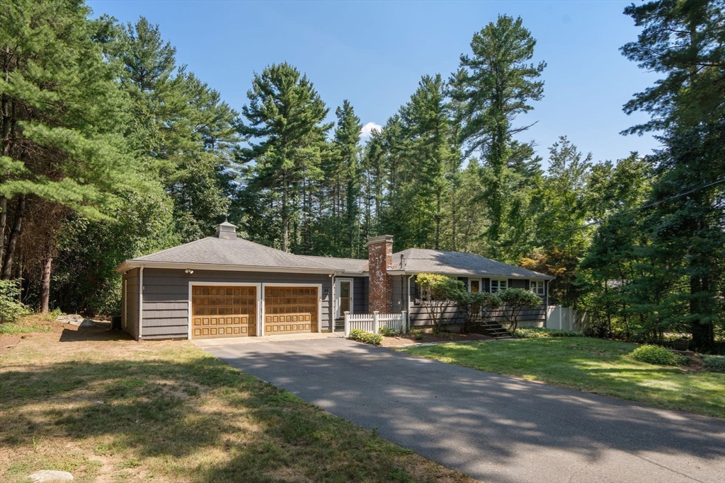 45 Needham Street Property Photo 5