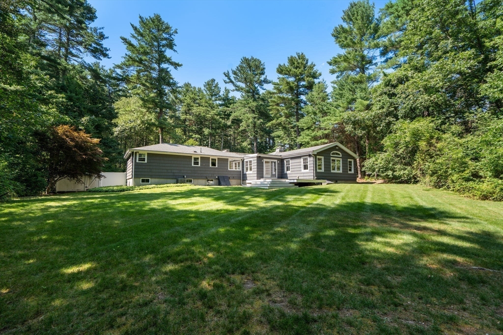 45 Needham Street Property Photo 6