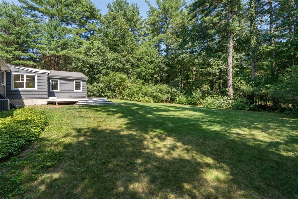 45 Needham Street Property Photo 7