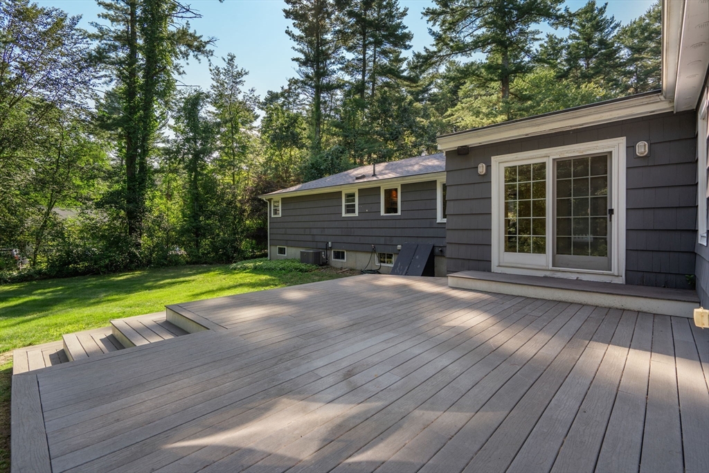 45 Needham Street Property Photo 9