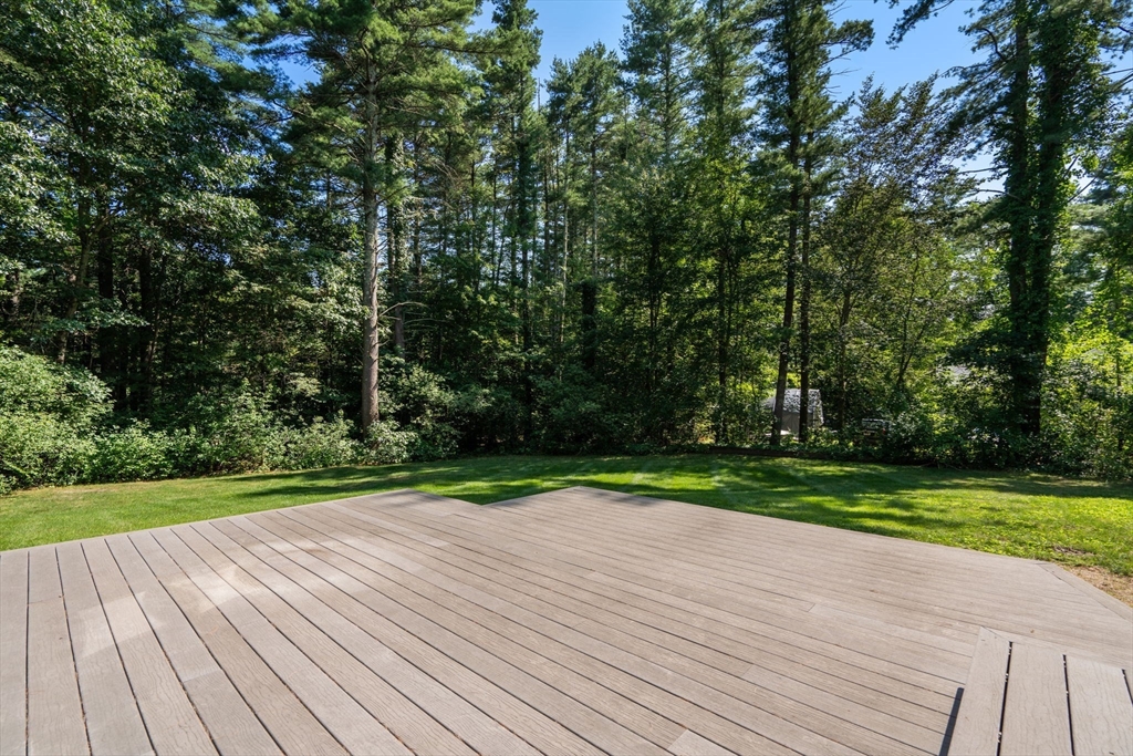 45 Needham Street Property Photo 10