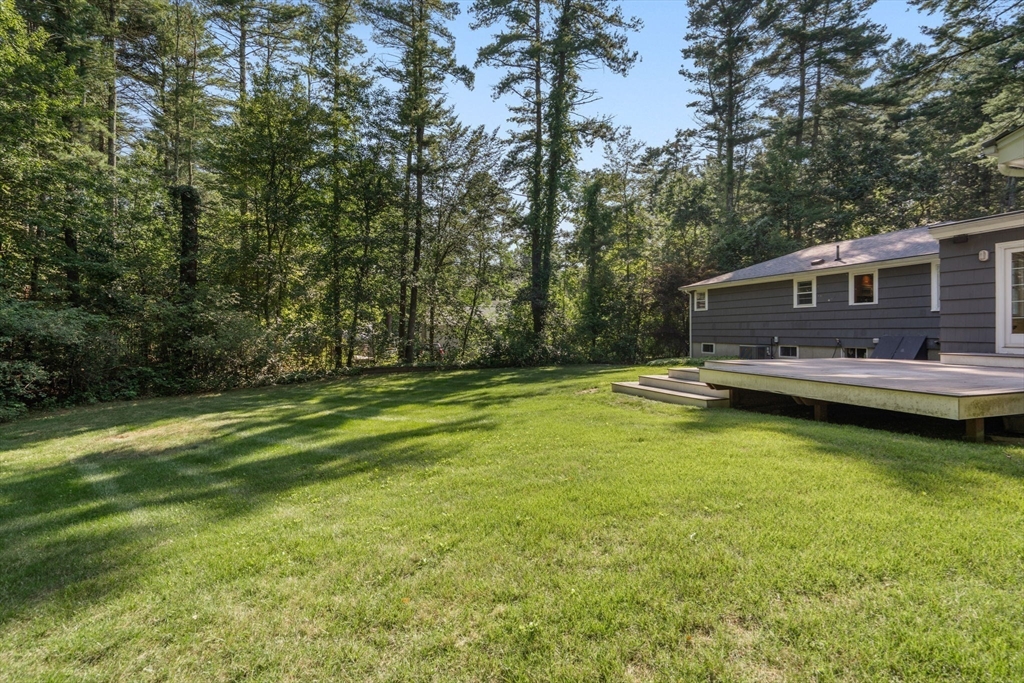 45 Needham Street Property Photo 12