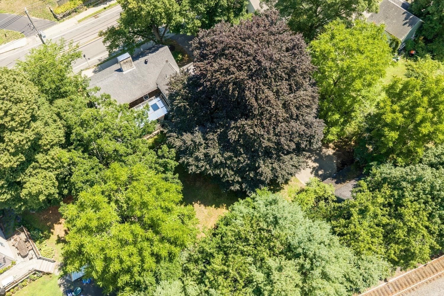 106 High St Property Photo 38