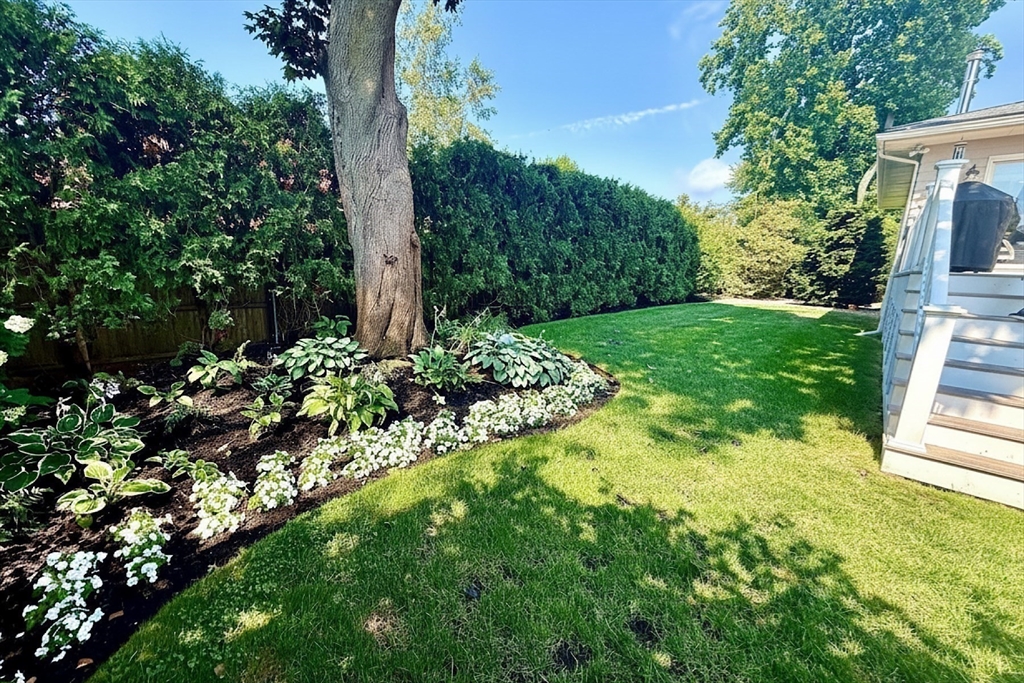 33 Glendale Road Property Photo 14