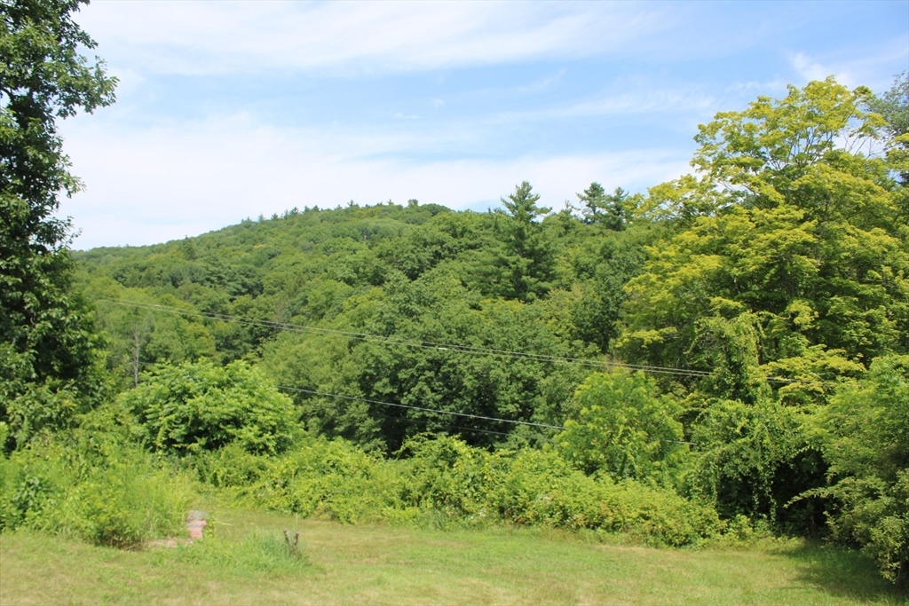 288 Truce Rd Property Photo 6