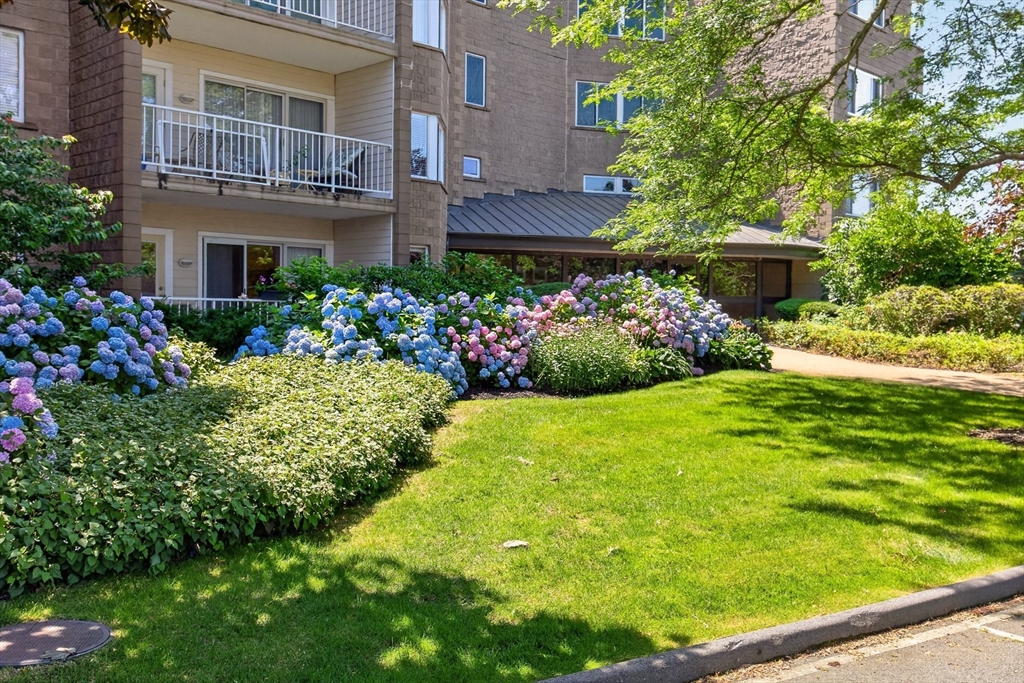 1 Belmont Rd APT 315 Property Photo 1