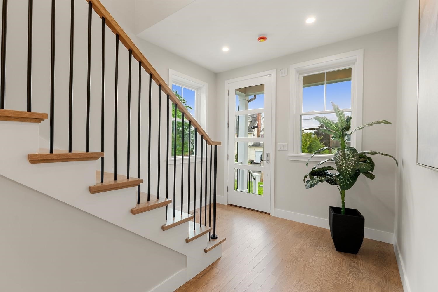 30 Calvin St Property Photo 3