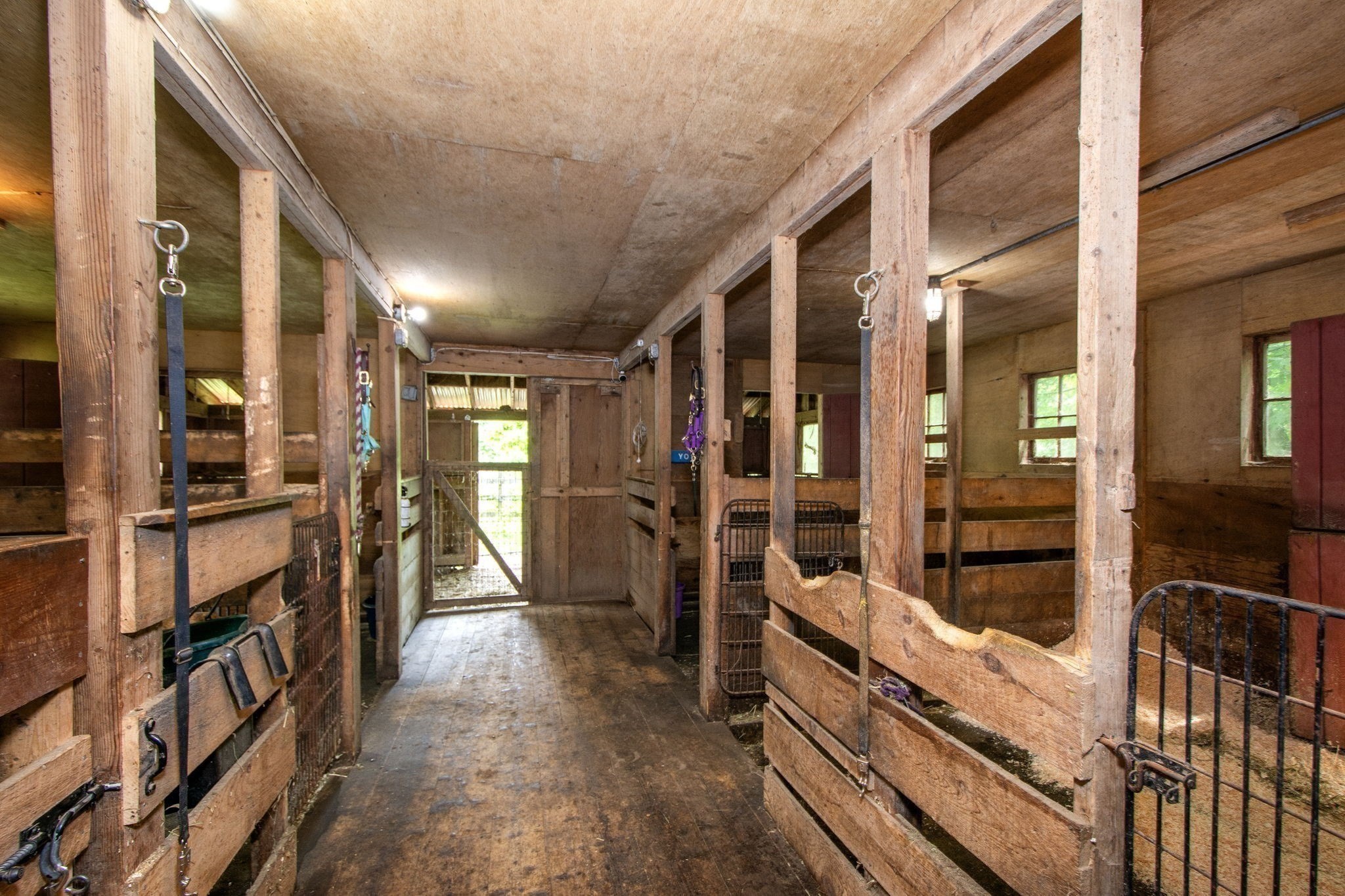 374 High St Property Photo 18