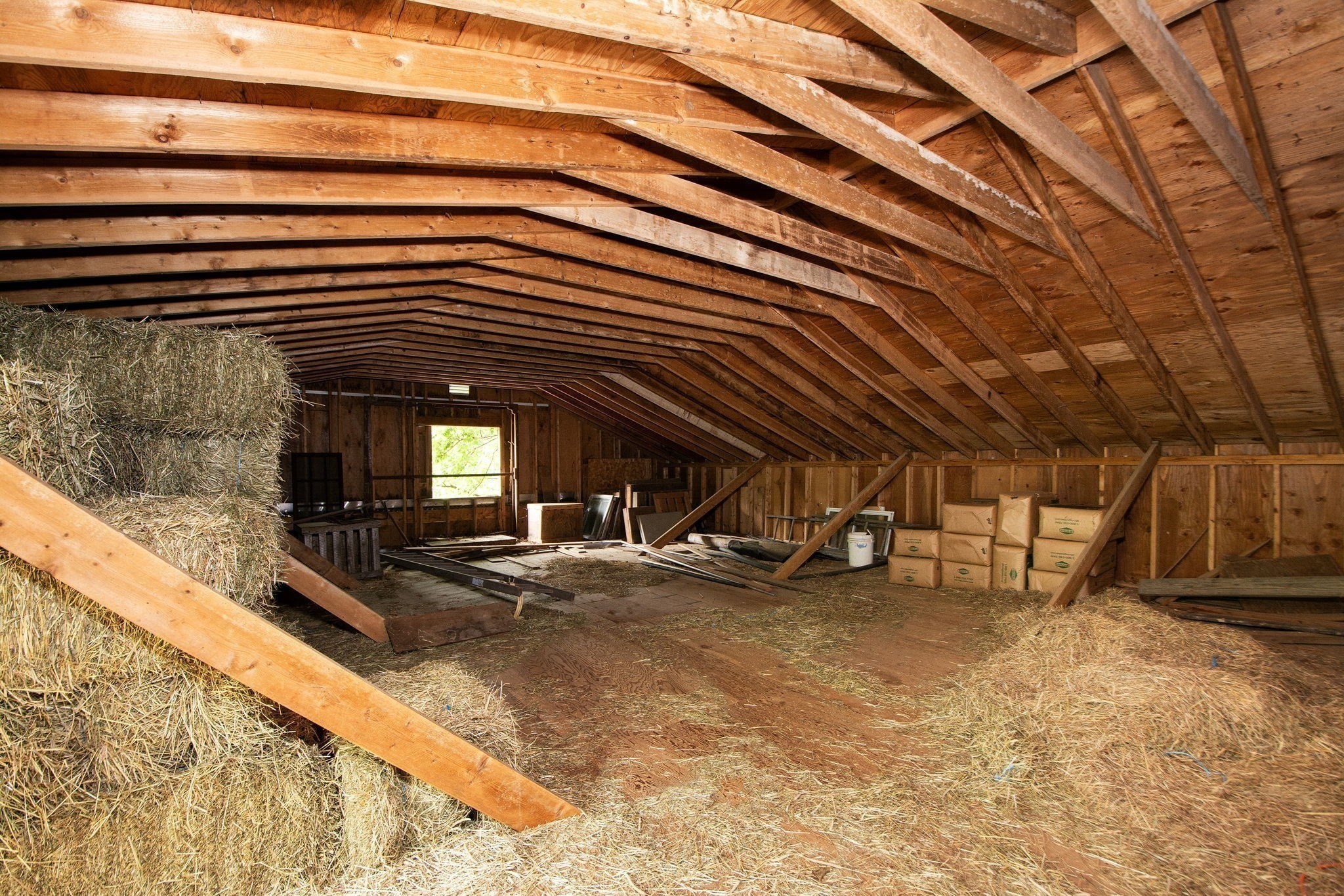 374 High St Property Photo 19