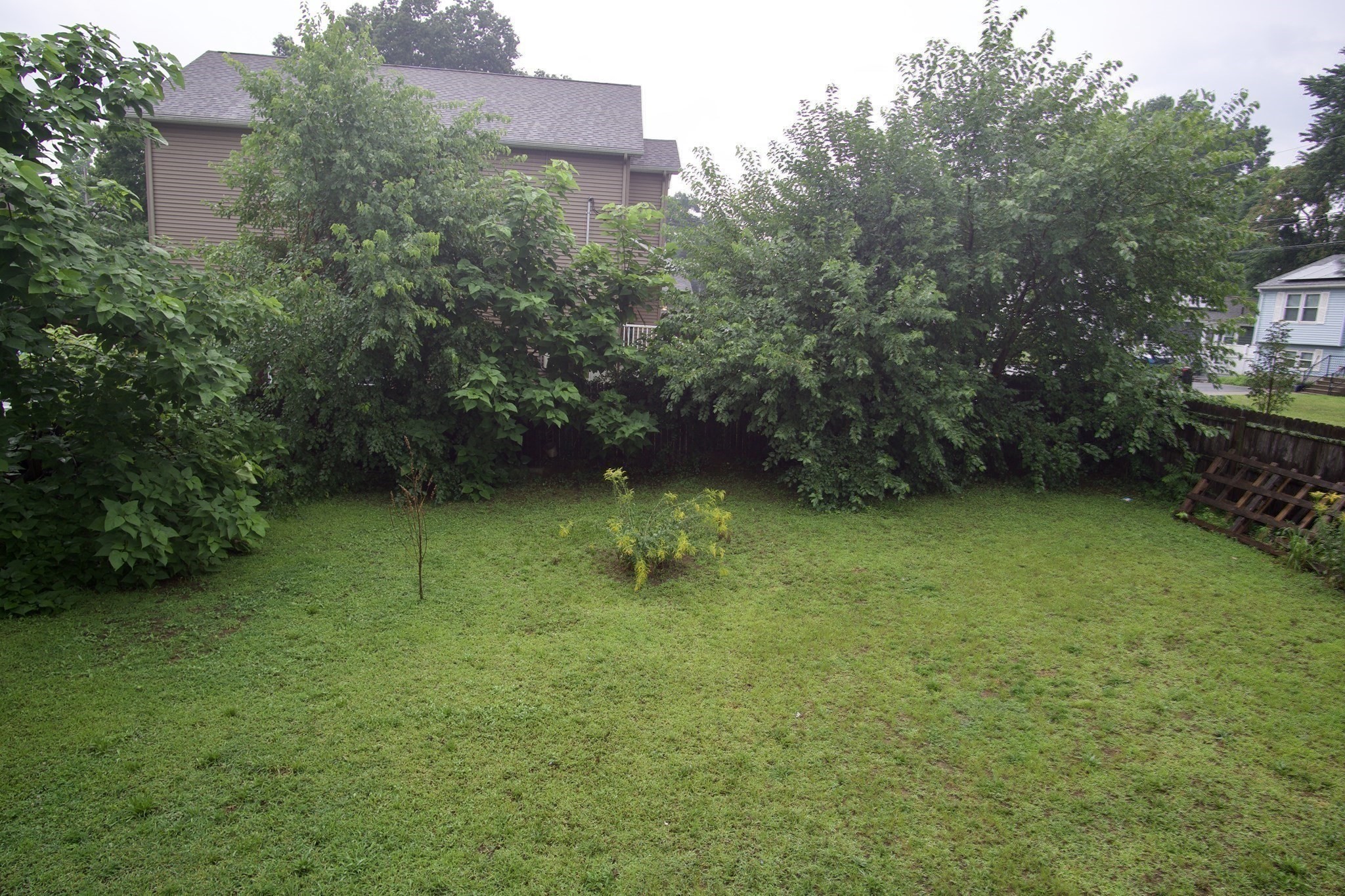 1289 Bay St. Property Photo 13