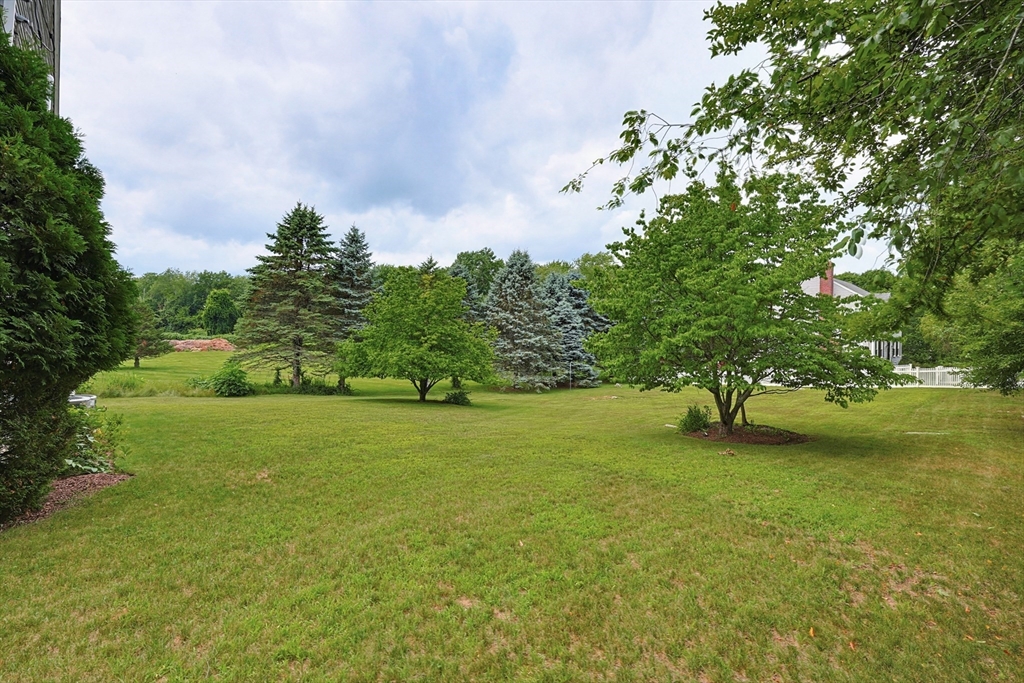 73 Lovering St Property Photo 3