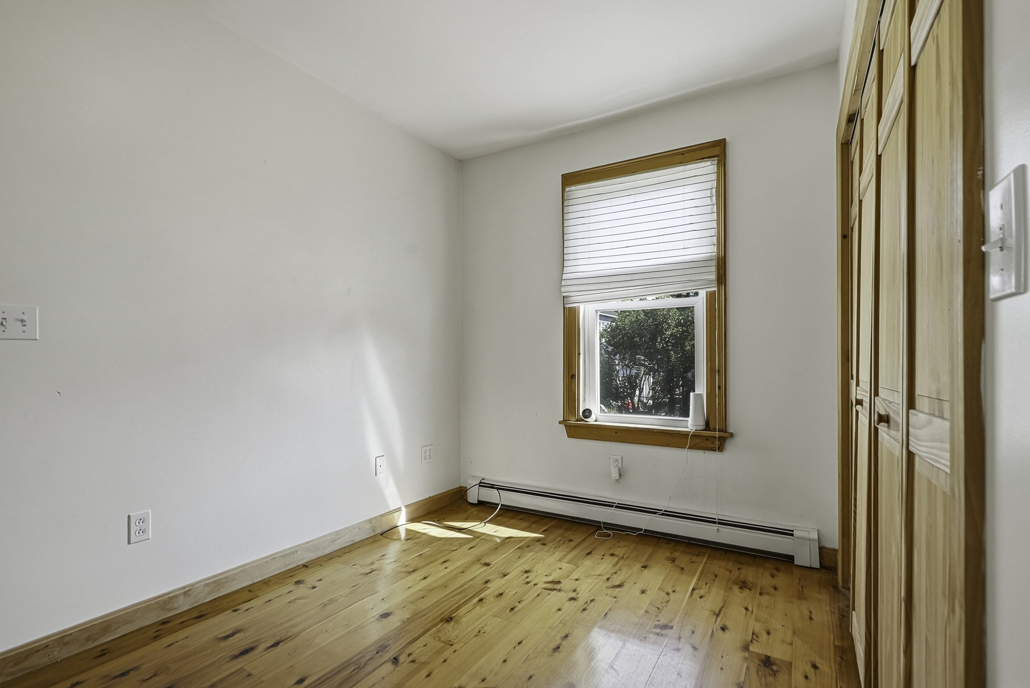 55 Chilmark St Property Photo 22