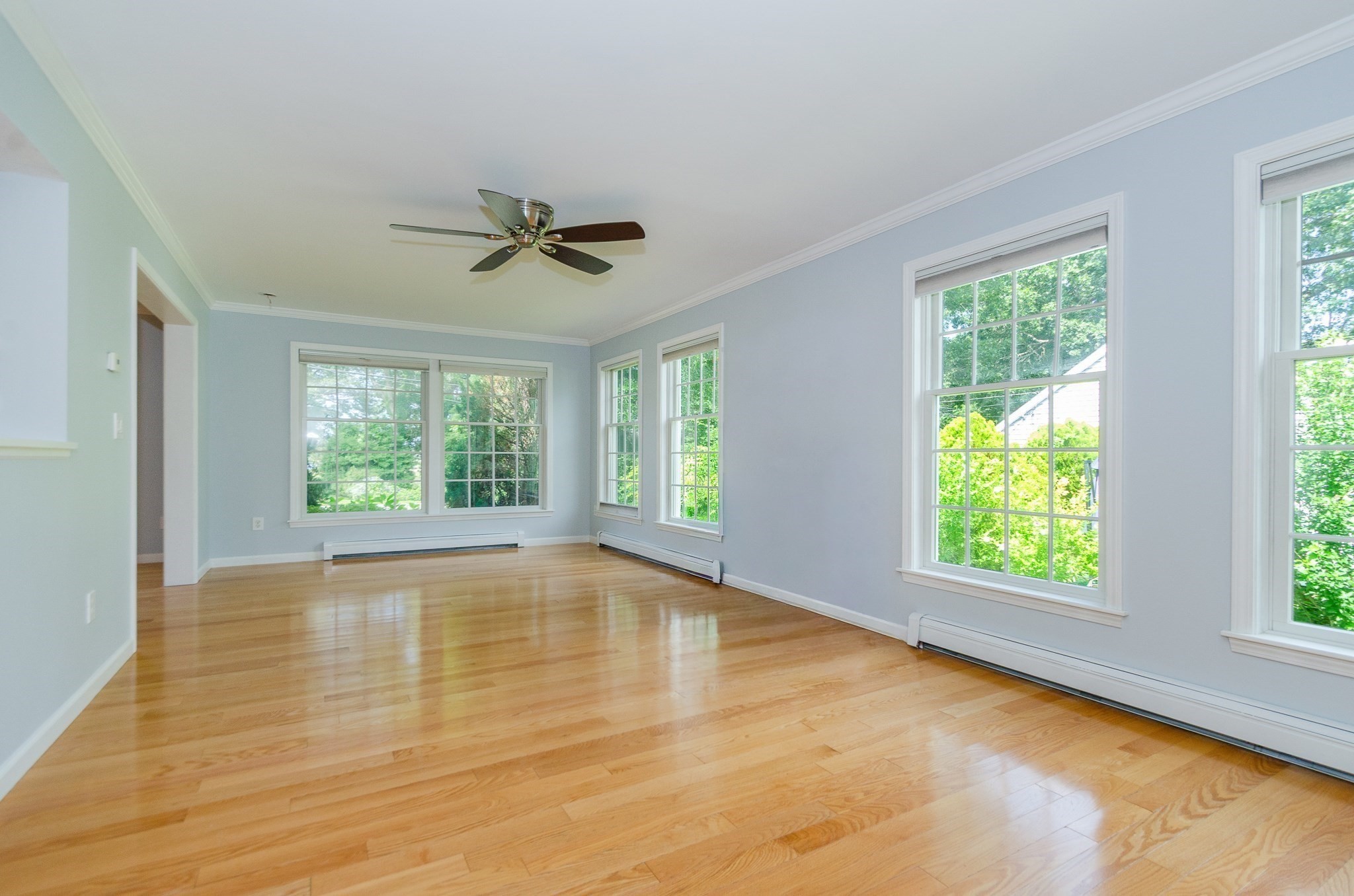 43 Converse Rd Property Photo 16