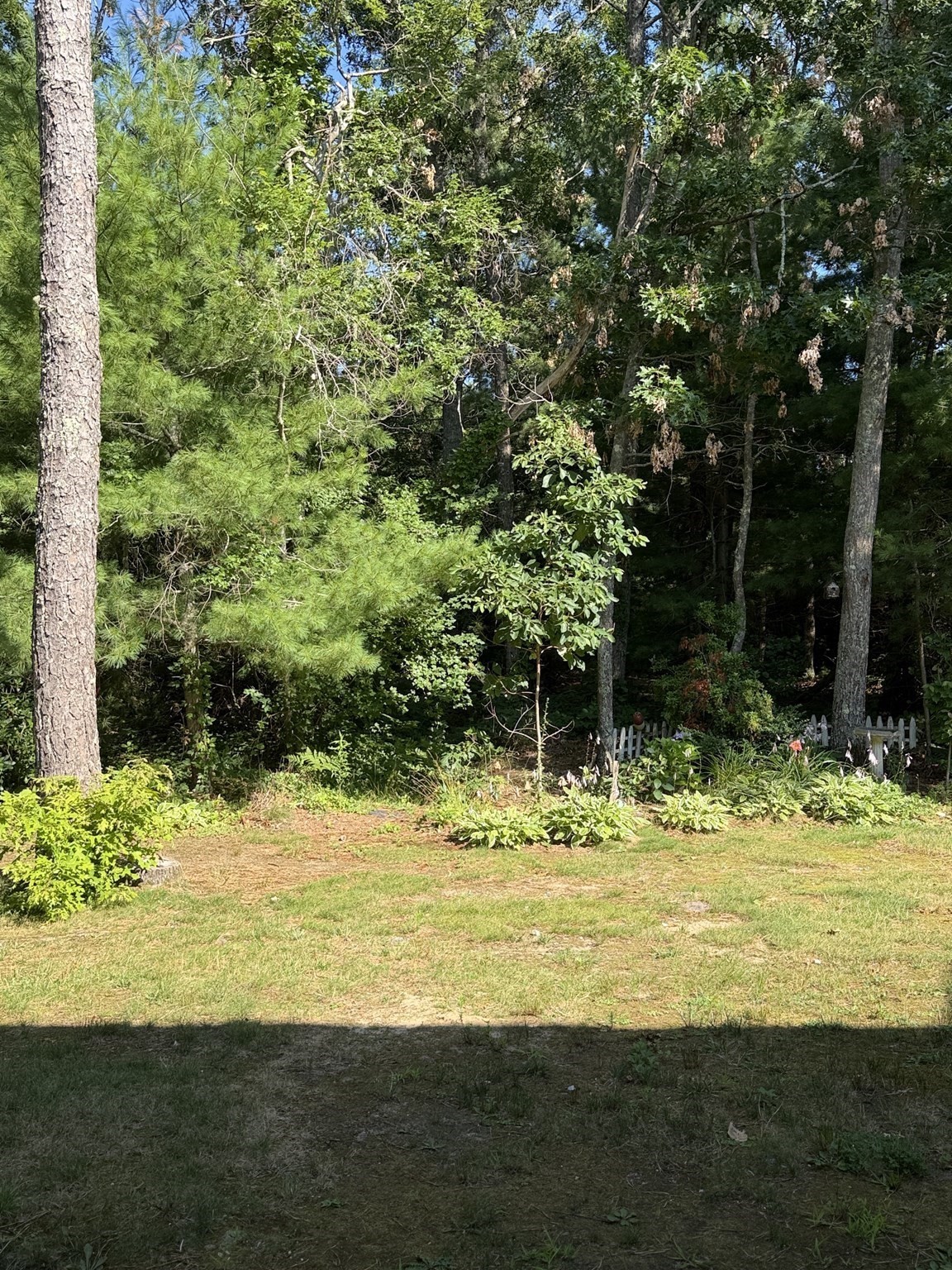 300 Falmouth Rd # 19c Property Photo 5