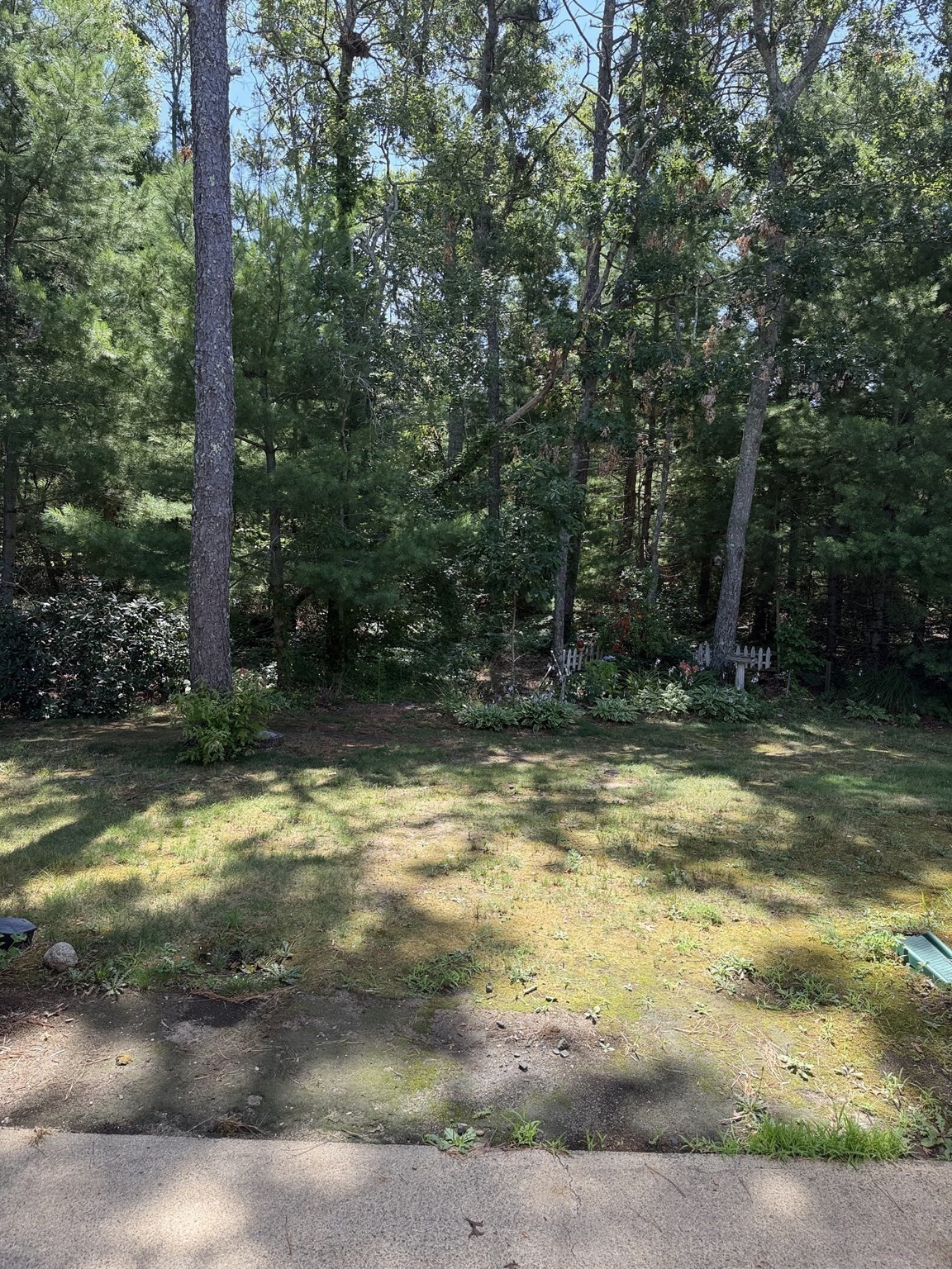 300 Falmouth Rd # 19c Property Photo 6