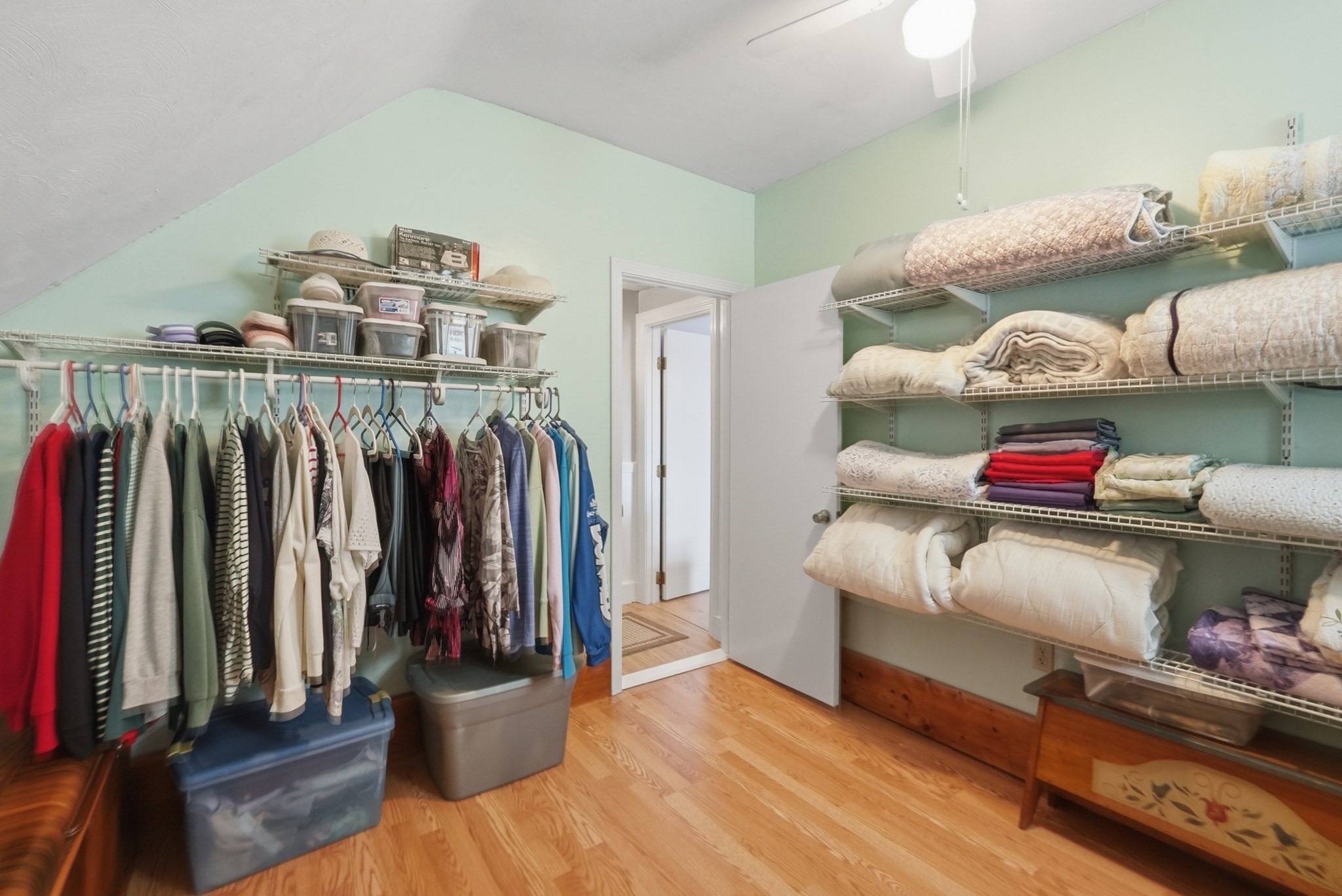 12 Marion Street Property Photo 23