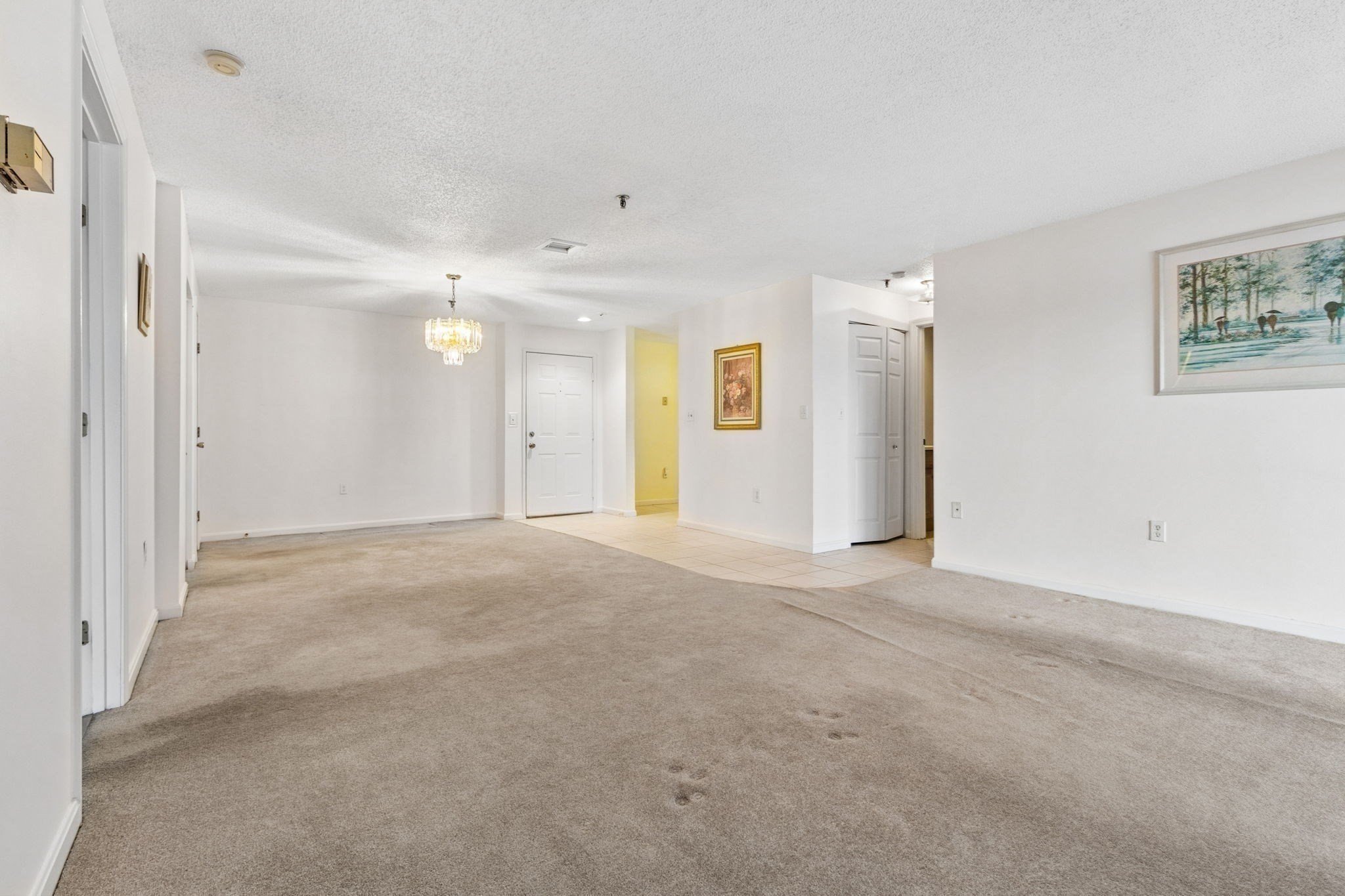 3920 Mystic Valley Parkway # 709 Property Photo 12