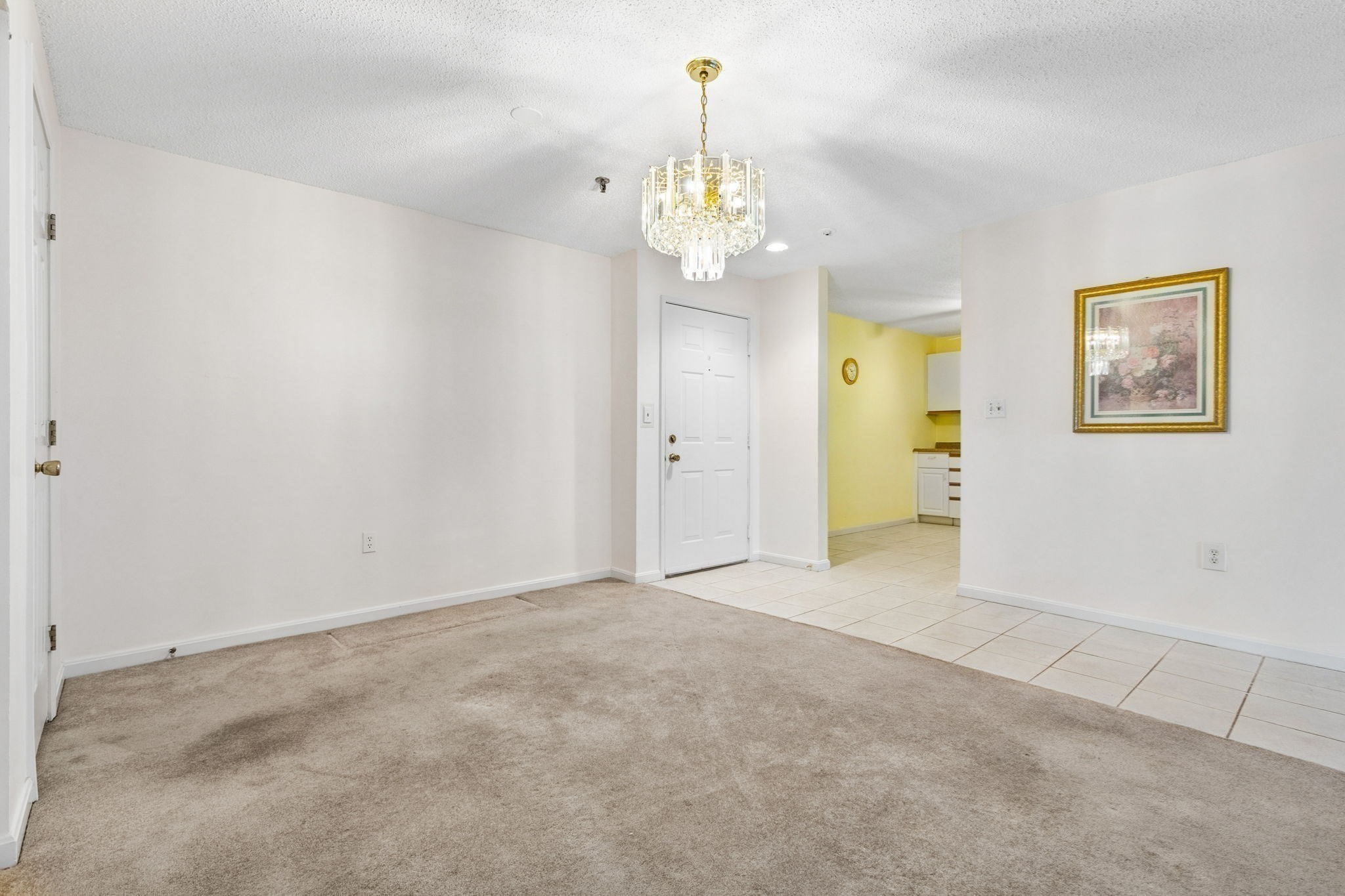 3920 Mystic Valley Parkway # 709 Property Photo 14