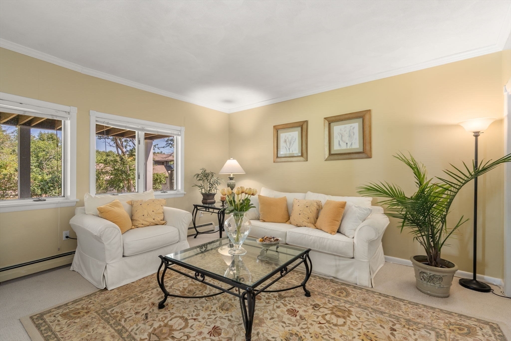 7 Sea Fox Lane Property Photo 25