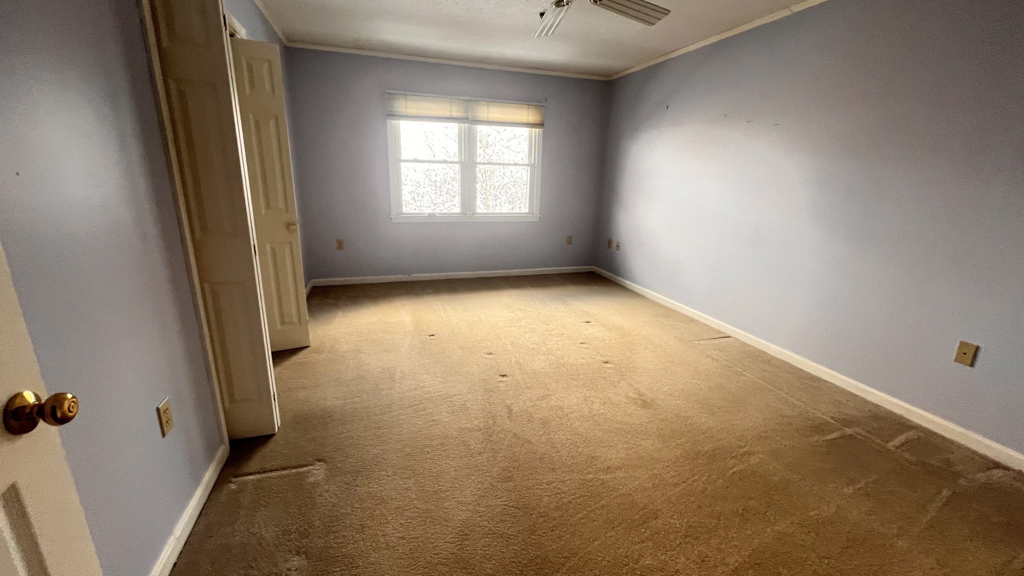 13 Dallas Dr # 305 Property Photo 11