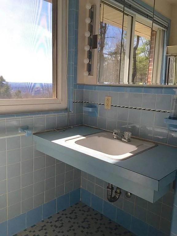 61 Arnold Rd Property Photo 18