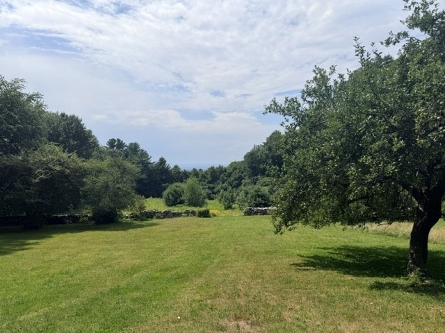 61 Arnold Rd Property Photo 25